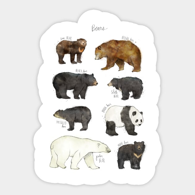 Bears Sticker by Amy Hamilton